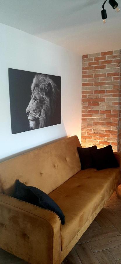 Ric Apartment Μπούντβα Εξωτερικό φωτογραφία